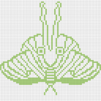 Luna Moth