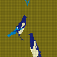 magpies