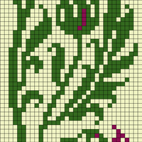 Copy of Thistle3