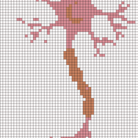 neuron flip.jpg