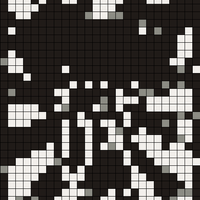 IMG_2906.jpeg