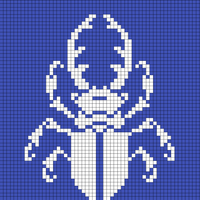 Copy of Copy of beetle 2