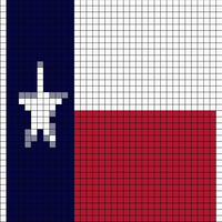 Texas Flag.webp