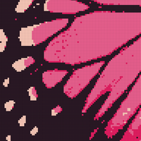 Butterfly wing