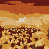 sunflower.jpg