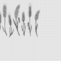 Copy of wheat-bread-ears-hand-drawn-vector-illustration_514781-520.jpg.webp