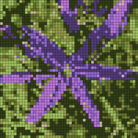 IMG_0402.jpeg