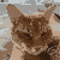 IMG_4487 Small.jpeg