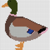 Canard.jpg