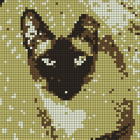 IMG_0709.jpeg