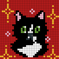 Copy of cat
