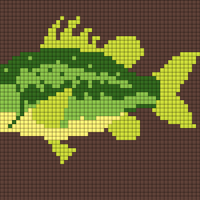 Better fish