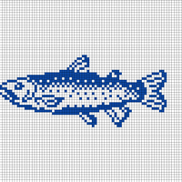 Copy of Copy of Copy of Copy of Copy of Copy of Copy of Copy of Copy of Copy of Fish