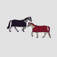 3-Jacquard-Horse.jpg
