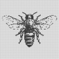 honey-bee.jpg
