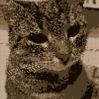 IMG_6527.jpeg