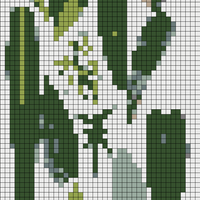 IMG_5743.png