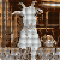 IMG_8888.jpeg