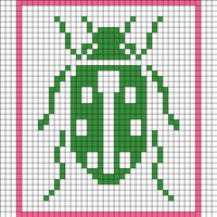 Ladybug