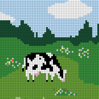 Cows