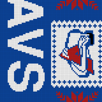 Copy of Avs Scarf