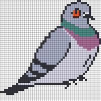 Pigeon