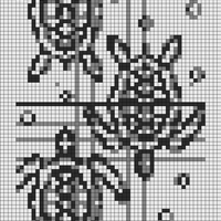 sea-turtle-chart.jpg.png