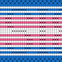 Trans Rights Illusion Scarf