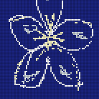 Copy of Orchid
