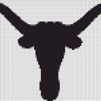 Longhorns 