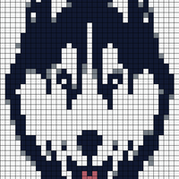 Huskies