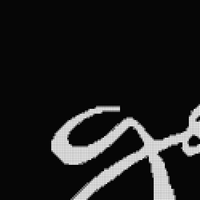 goose-phtsh.png