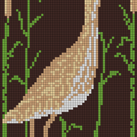 bittern.jpg