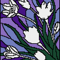 Copy of lily