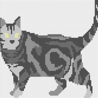 cat body chart