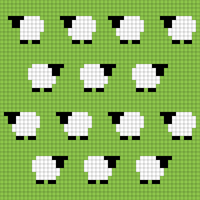 sheep
