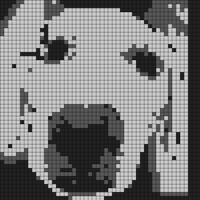 FullSizeRender.jpeg