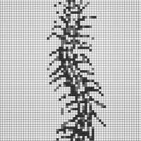 IMG_7598.jpeg