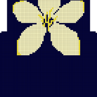 Orchid Final Draft
