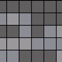 pelaje atigrado.webp
