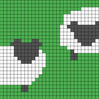 sheep