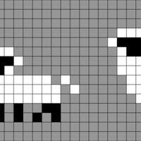 Copy of Sheep 1