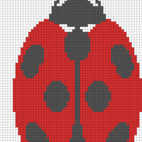 ladybug