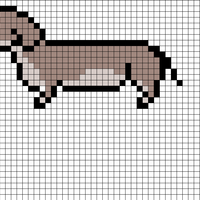 Hund