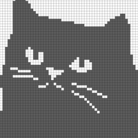 cat face