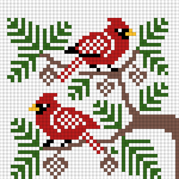 Copy of Copy of cardinal