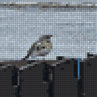 20240425_153103.jpg