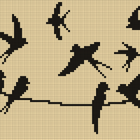 Swallows1