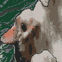 lucy.jpg