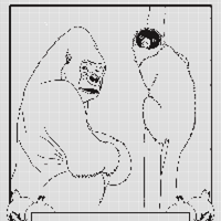 IMG_1010.jpeg